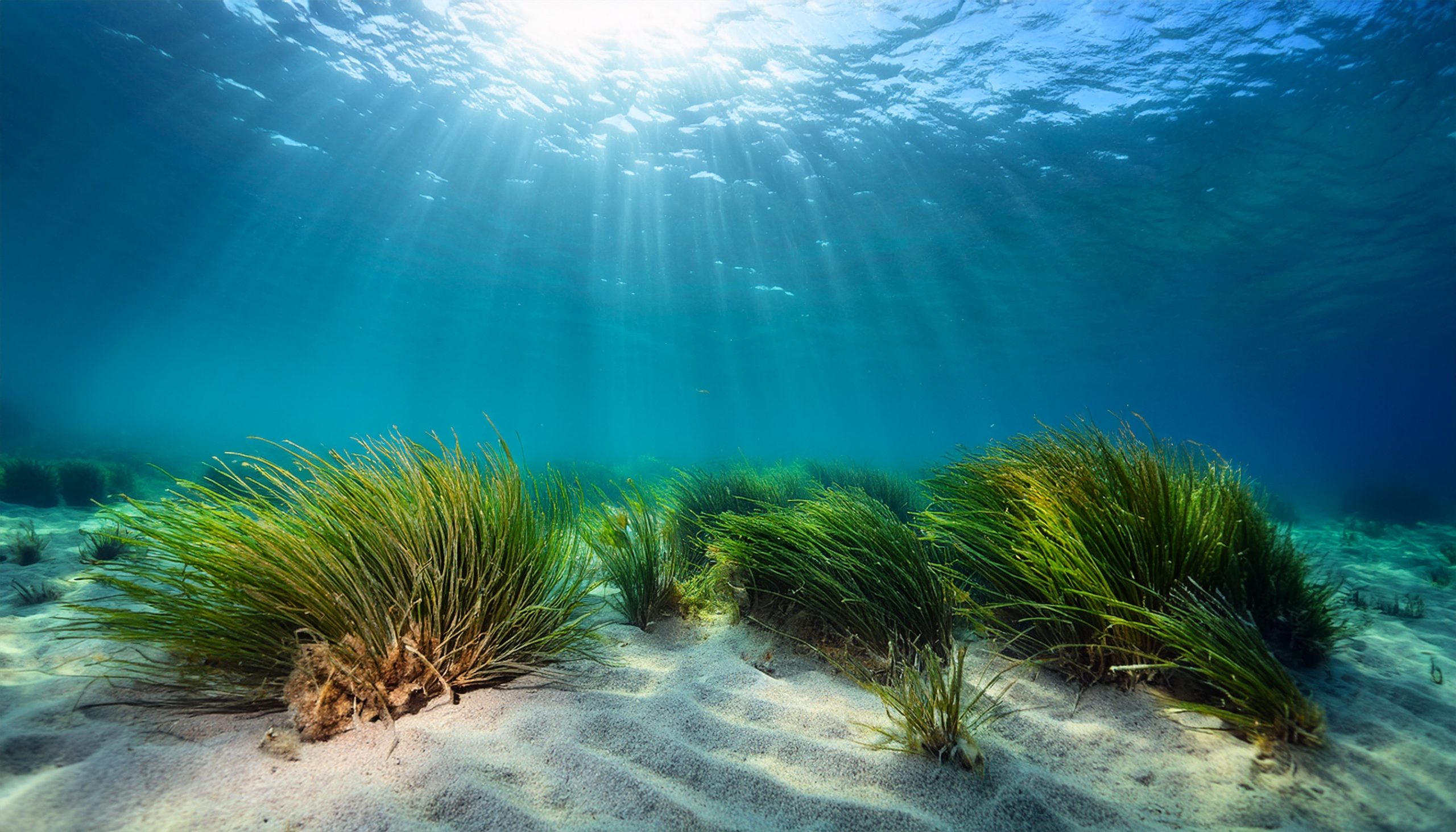 Activities programme